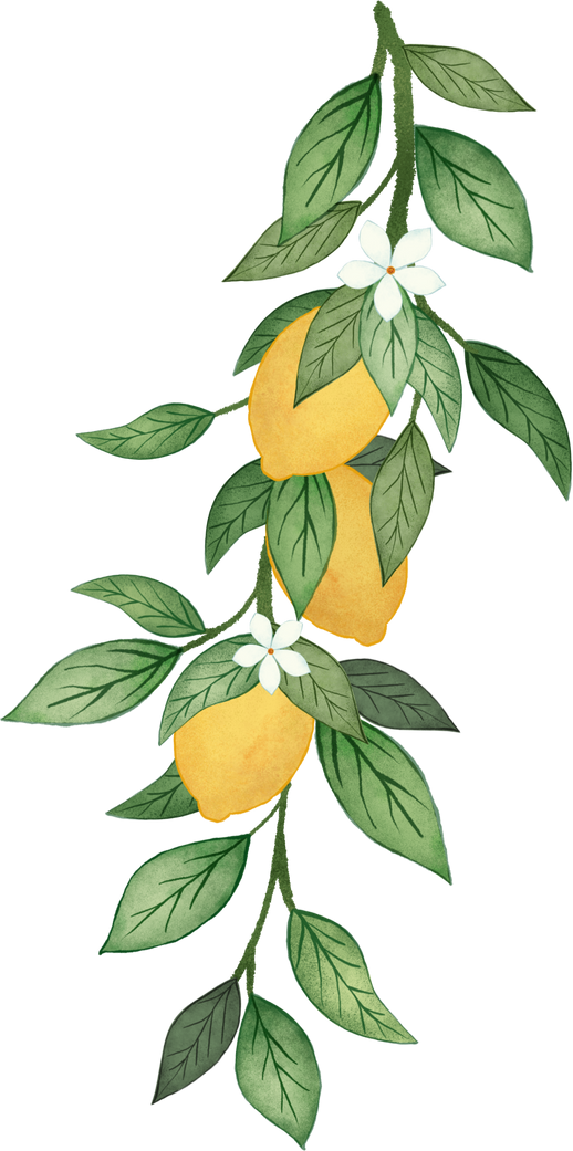 Lemon Branch Vertical