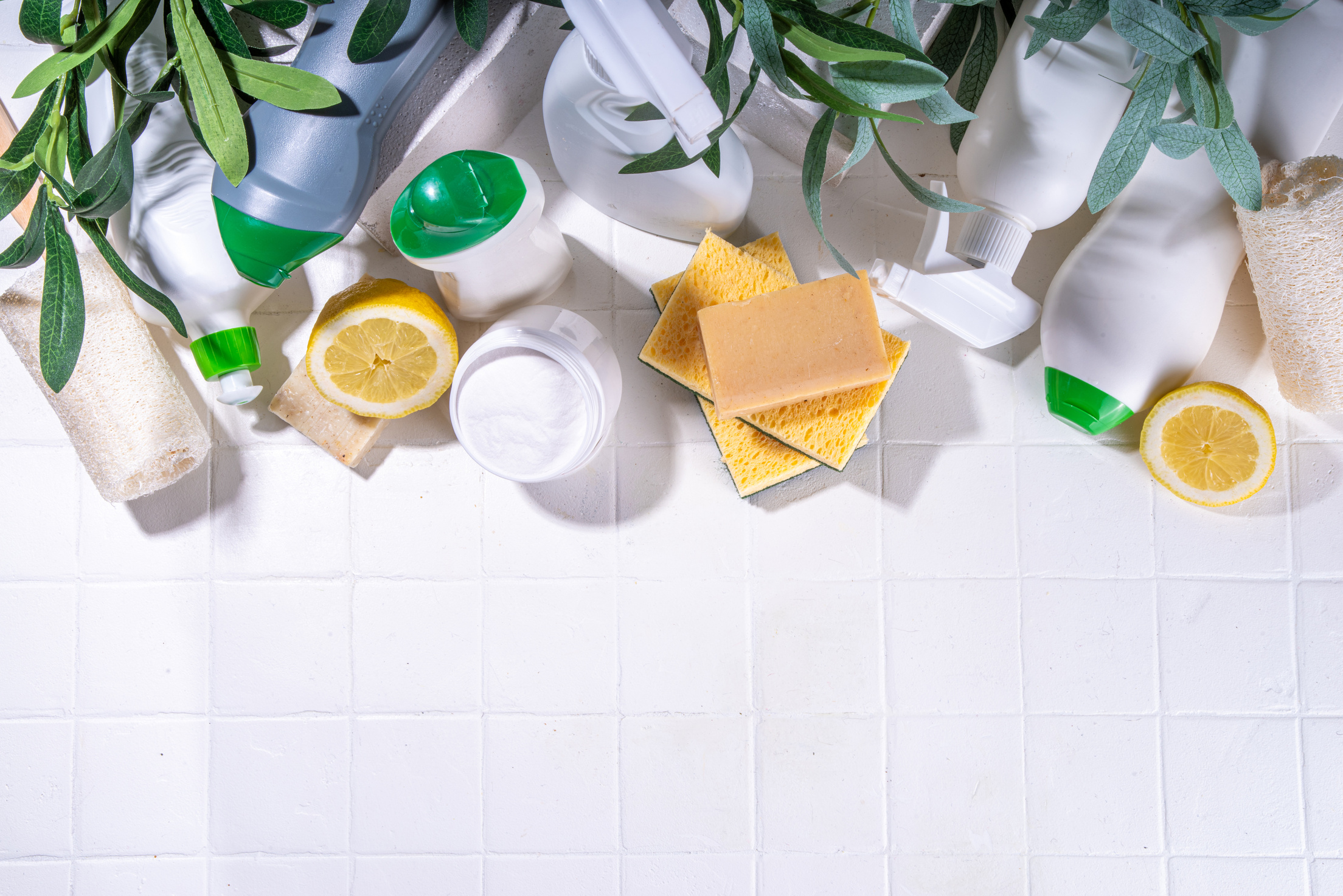 Organic cleaning products