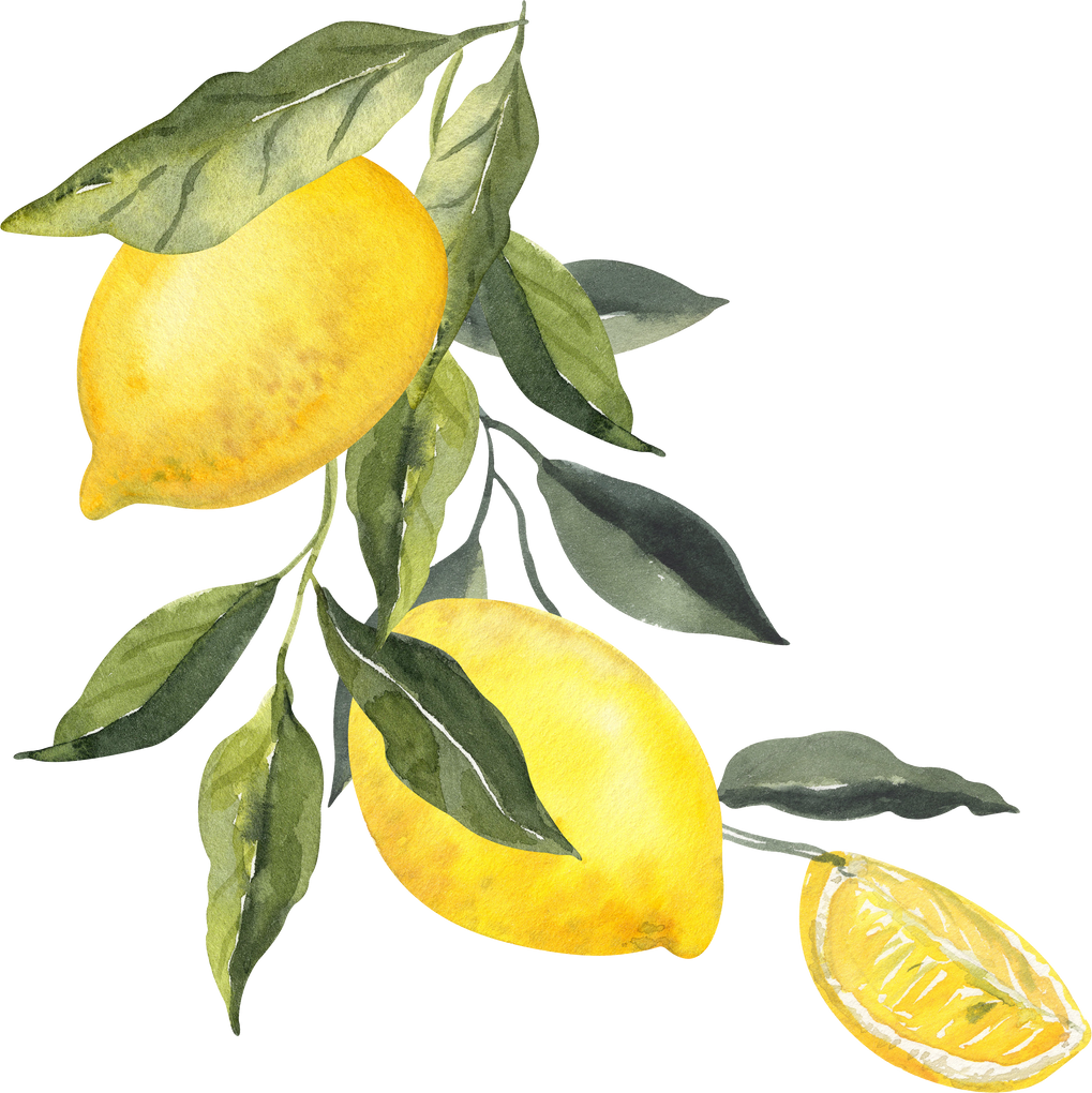 Watercolor three lemons bouquet illustration